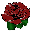 Dark Red Rose