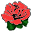 Red Rose